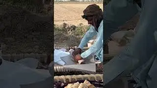 Bread (Roti) Making for Biggest Wedding in the Desert of Pakistan