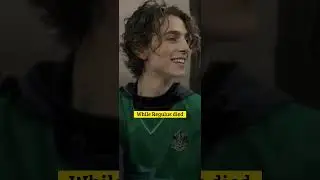 Did you notice these SIMILARITIES between SIRIUS AND REGULUS BLACK??