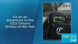 Go on an adventure to the 2022 Ontario Winery of the Year