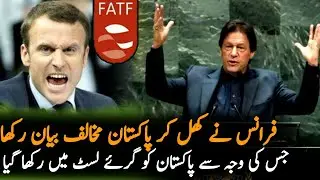 France Statements Against Pakistan In FATF  | News Today | FATF | Pakistan France Latest News