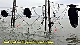 Ganas !! pemancing harus profesional jika berada di spot turus-mancing ikan besar
