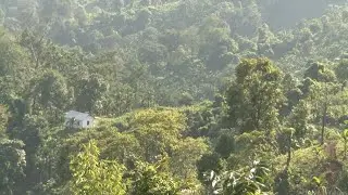 Community Reserve Forests