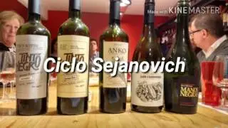 Ciclo Sejanovich en EnoGarage Belgrano2. Conducido por Elena Amigo