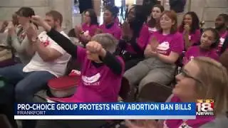 Pro-Choice Group Protests New Abortion Ban Bills