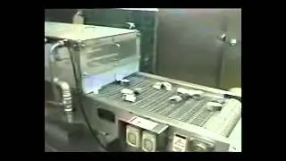 Machine for washing fish and semi-finished products