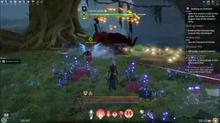 SkyForge Bot Report