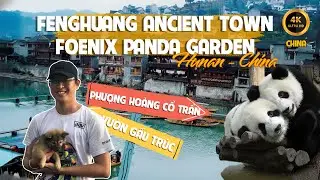 Fenghuang Ancient Town Day & Night &ndash; 4K Walking Tour | Fenghuang Panda Garden | Tieu Dao Tu