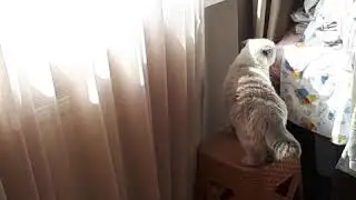 Jump. Just jump 😂  надо запрыгнуть предварительно всё взвесив😂