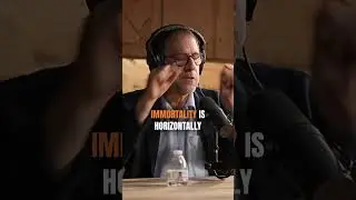 Что происходит, когда мы умираем (Джон Верваке)