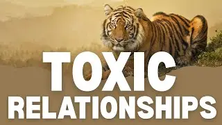How to Recognize Toxic Relationships Before They Hurt You
