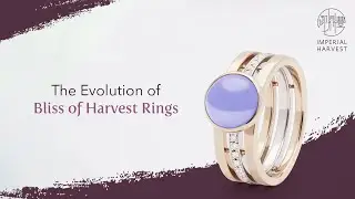 The Evolution of Bliss of Harvest Rings