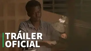 TE PROTEGERÁN MIS ALAS - TRÁILER OFICIAL (HD)
