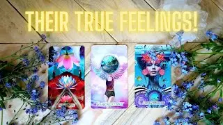 THEIR TRUE FEELINGS FOR YOU! How do they *REALLY* feel about you? PICK A CARD Tarot