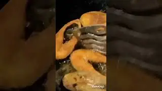 Very Tasty Hilsha Fish Frying#short#bangalirecipe #food#cooking#fish#shorts #ytshorts#fishrecipe