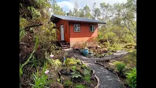 Sustainable Living Dream Part 16: Enchanted Forest Cabin