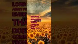 Lord, Save Me Today #shortvideo #shortvideo #motivation #prayday #viralvideo #love #shortvideo