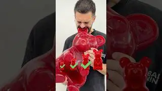 Giant Gummy Bear ! 🧸