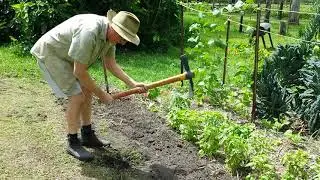 Turning lawn into food - from Peter Kearney of www.myfoodgarden.com.au