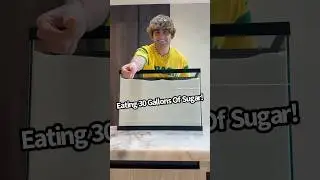 Съедаю 30 галлонов сахара!