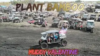 PLANT BAMBOO Muddy Valentine - Florida Mud Trucks
