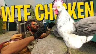 Always At The Worst Moment....Chickens - CSGO Funny Moments