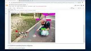 Tutorial DARKNET from Scratch