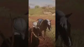 Rdr2, Daily Challenges