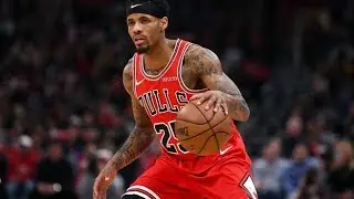Walt Lemon Jr. 2018-2019 Bulls Highlights