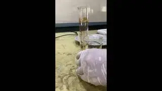 LAB 3 Determination of Chloride Ion in Sample