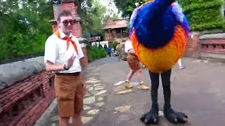 dillon bird