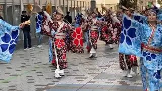 十人十彩🌸YOSAKOI高松祭り2025 兵庫町商店街パレード 2025年12月14日