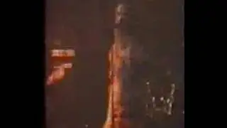 daisy chainsaw love your money live