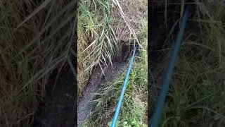 BAROCLEAN HYDROCITY