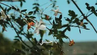 علواه ترجع! من أغاني السويداء  شارة مسلسل الخربة