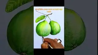 How to draw Guava #shorts #short #shortvideo #shortsfeed #art #drawing #drawingtips #guava#water