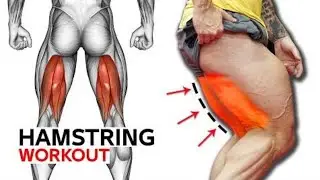 12 Best Exercises hamstring Workout (very Effective)