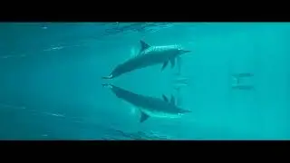 The Sea - Rob Lewis (Ambient Looping Cello Music)