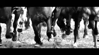 Timeline Television Showreel