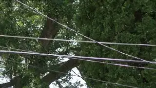 Utility companies prepare for high temperatures