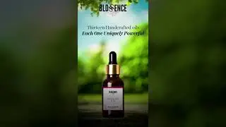 Introducing the Essence of Nature &ndash;Best Handcrafted Essential Oils 🌿| Best Essential Oil | Blossence