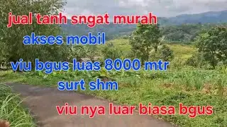 #jual kenun sngat bgus viu bgus luas 8000 mtr surt shm aksea mobil tnah sngat bgus bnget dari viu