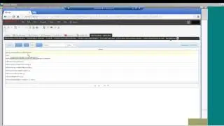 Siebel OpenUI Tutorial - Steps to customize Open UI Presentation Model class
