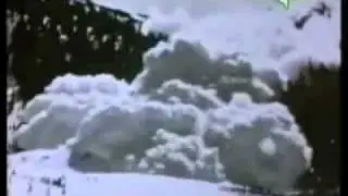 Alpine Rescue Team