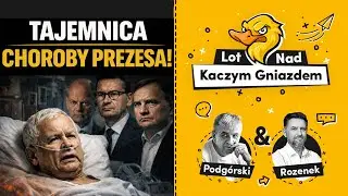 POMÓR W PiS! NIE TYLKO KACZYŃSKI CHORY! CZARNEK I JAKI GROŻĄ! JAK STEWARD ZOSTAŁ SĘDZIĄ.