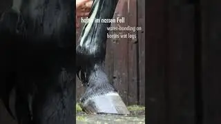 &deg;Cellsius Gel - leovet - K&uuml;hlgel - Cooling Gel