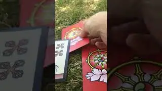 Cancer ♋️ tarot quick: Cast pearls not to Swine