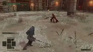 The Ninja Apprentice No Ash of War PVP