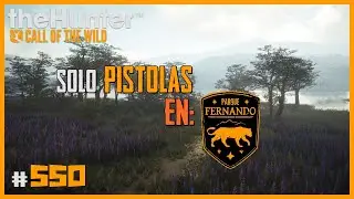SOLO PISTOLAS EN PARQUE FERNANDO | 🦌theHunter: CotW #550