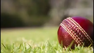 Aussie contingent from the IPL to return home today