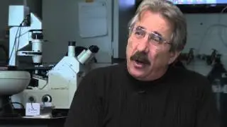 David Soll describes the behavior of mutated PTEN genes
